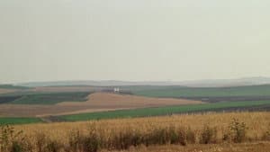 El huerto del francés — foto 11