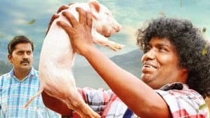 பன்னி குட்டி — foto 2