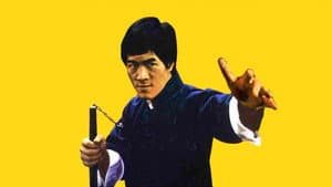 Bruce Lee El superhéroe — foto 1