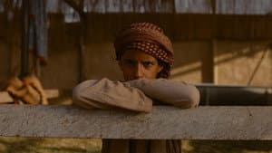 هجّان — foto 2