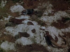 Episodio 24