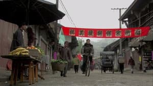 梅花档案 — foto 2