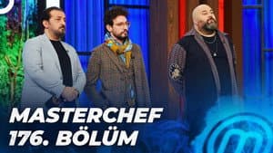 Episodio 176