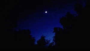 The Lost Memories of Slumber — foto 3