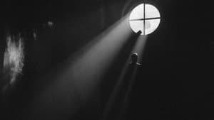 The Fugitive — foto 3
