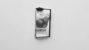 Vanitas — foto 12