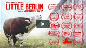 Little Berlin — foto 2