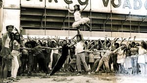 A Farra do Circo — foto 1