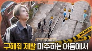 Episodio 8