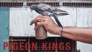Pigeon Kings — foto 1