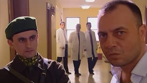 Episodio 13
