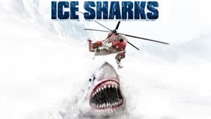 Ice Sharks — foto 3