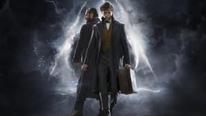 Animales Fantásticos 2: Los Crímenes de Grindelwald — foto 8