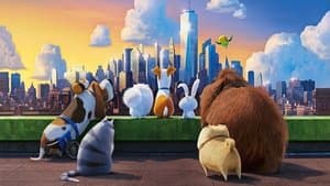 La vida secreta de tus mascotas — foto 2