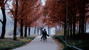 따라 바람 — foto 6