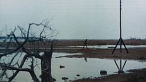 La Pasión de Anna — foto 5