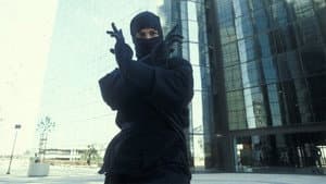 The Last Ninja — foto 1