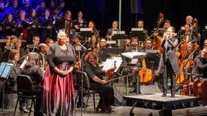 Histoires sans paroles: Harmonium Symphonique – Le film — foto 1