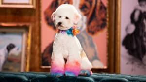 Haute Dog — foto 4