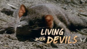Living with Devils — foto 2