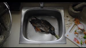 a duck tale — foto 1