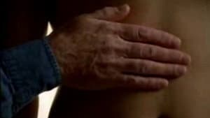 Robbie — foto 1