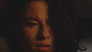 EXCARNATE — foto 2