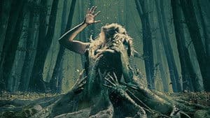 El bosque siniestro — foto 1