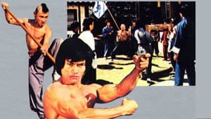 흑표비객 — foto 1