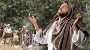 Where Jesus Walked — foto 1