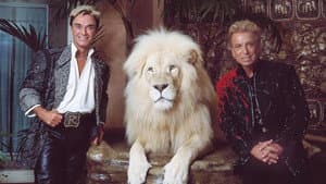 Siegfried and Roy - Superstars Of Magic — foto 1
