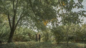 Imago — foto 4