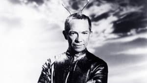 My Favorite Martian — foto 5