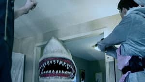House Shark — foto 1
