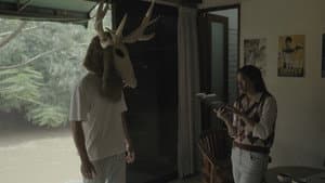 Bestiary — foto 7