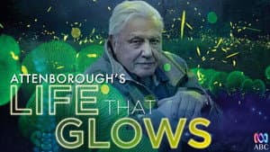 Attenborough's Life That Glows — foto 1