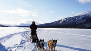 L'Appel du Grand Nord — foto 1
