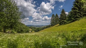 Krajinou domova — foto 4