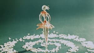 Inspirace — foto 1