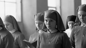 Ida — foto 1