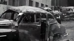 Las palomas y las bombas — foto 2