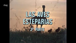 Episodio 72