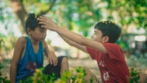 Bahay, Baboy, Bagyo — foto 3