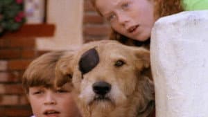 Sherlock: Undercover Dog — foto 1