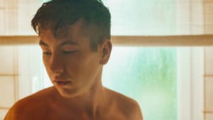Mammal — foto 2