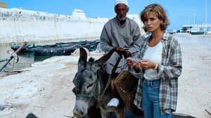 Der Arabische Prinz — foto 2