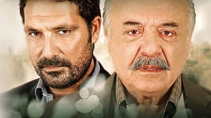 Bir Çocuk Sevdim — foto 1