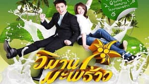 วิมานมะพร้าว — foto 1