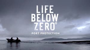 Port Protection Alaska — foto 5