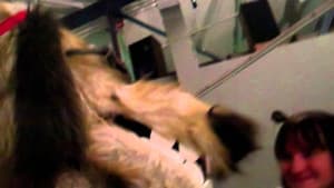 Doggiewoggiez! Poochiewoochiez! — foto 1